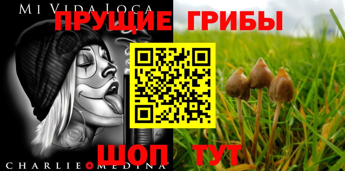 Галлюциногенные грибы MAGIC MUSHROOMS  Вход с VPN  Уссурийск 