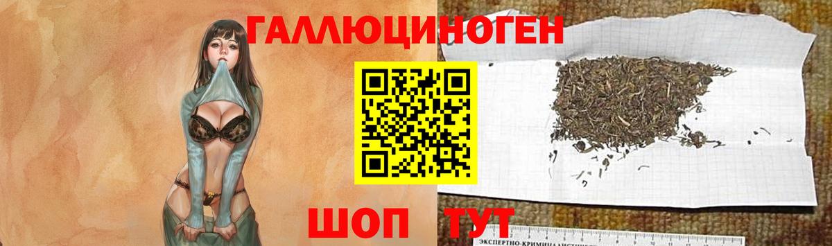 Псилоцибиновые грибы мицелий Уссурийск