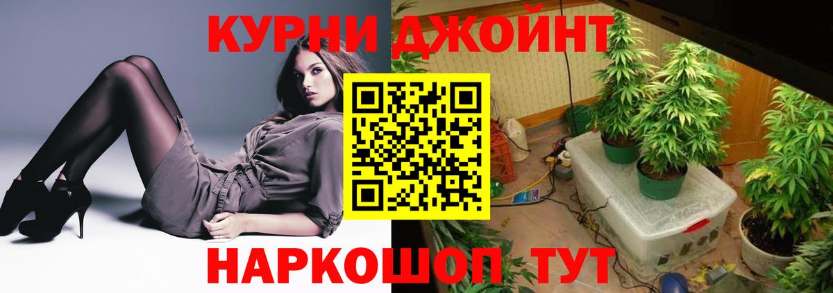 Конопля планчик Уссурийск